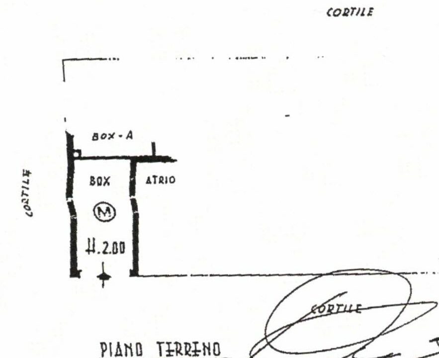CCI_000003 (2)